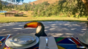 【Basic Vocabulary】na - adjectives:「な」けいようし