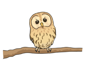 【Japanese Onomatopoeia】HOO-HOO / ホーホー