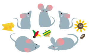 【Japanese Onomatopoeia】CHUU-CHUU / チューチュー