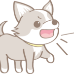 わんわん‼️ わんわんカート スマートハンディ Safety デニム柄 | ジェックス株式会社