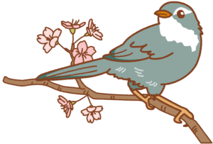 【Japanese Onomatopoeia】HO-HOKEKYO / ホーホケキョ