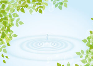 【Japanese Onomatopoeia】POCHAN / ぽちゃん / ポチャン