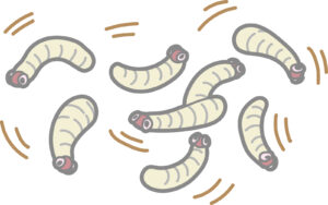 【Japanese Onomatopoeia】SURI-SURI / すりすり / スリスリ