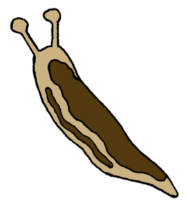 【Japanese Onomatopoeia】NUME-NUME / ぬめぬめ / ヌメヌメ